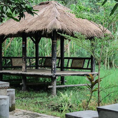 Tiara Homestay Plambi Zewnętrze zdjęcie