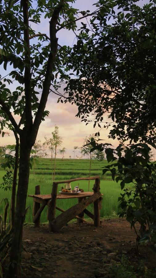 Tiara Homestay Plambi Zewnętrze zdjęcie
