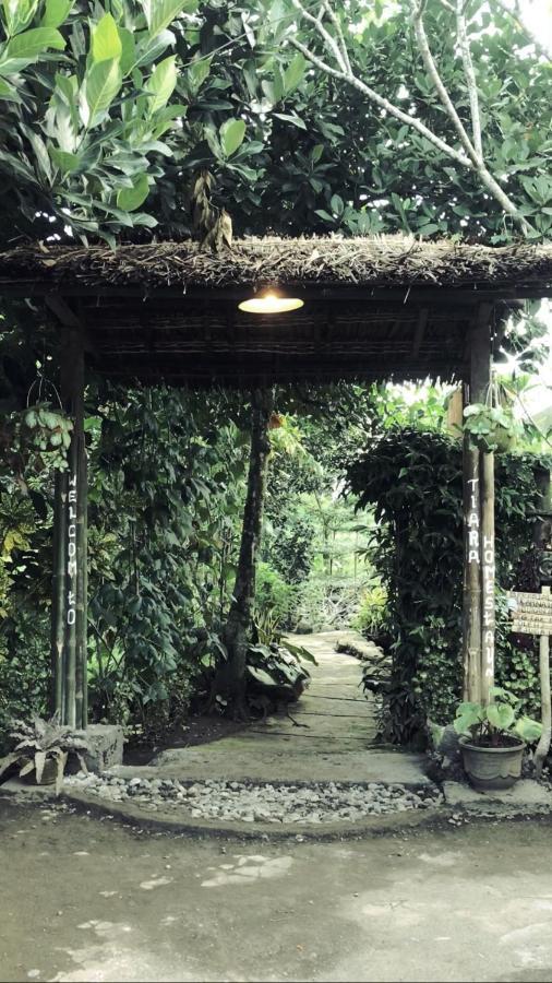 Tiara Homestay Plambi Zewnętrze zdjęcie
